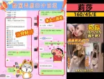 台中定點茶-莉莎