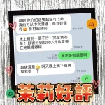 雲林定點茶-茉莉