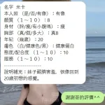 新竹定點茶-咪卡